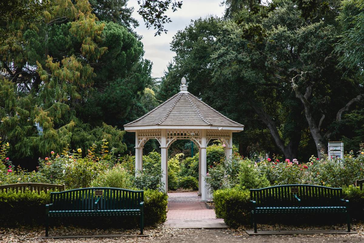 Wooden Gazebo Ideas for Garden: Timeless Seating That Survives the Seasons