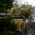 Garden Gazebo UK Wood: 7 Proven Tips to Avoid Costly Mistakes