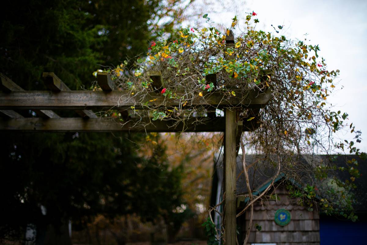 Garden Gazebo UK Wood: 7 Proven Tips to Avoid Costly Mistakes